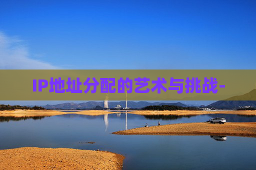IP地址分配的艺术与挑战-