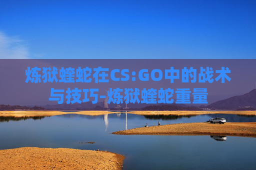 炼狱蝰蛇在CS:GO中的战术与技巧-炼狱蝰蛇重量