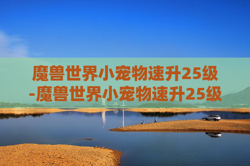 魔兽世界小宠物速升25级-魔兽世界小宠物速升25级多少钱