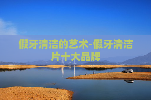 假牙清洁的艺术-假牙清洁片十大品牌