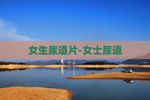女生尿道片-女士尿道