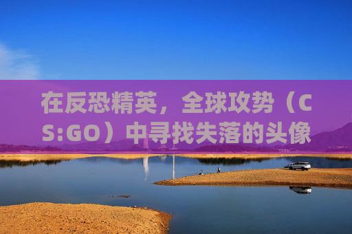 在反恐精英，全球攻势（CS:GO）中寻找失落的头像-csgo高端局伤感id