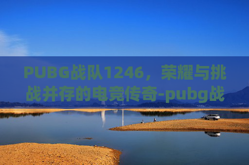 PUBG战队1246，荣耀与挑战并存的电竞传奇-pubg战队成员