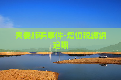 夫妻肺骗事件-增值税缴纳逾期