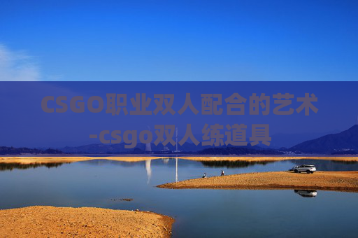 CSGO职业双人配合的艺术-csgo双人练道具