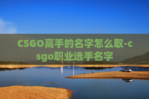CSGO高手的名字怎么取-csgo职业选手名字