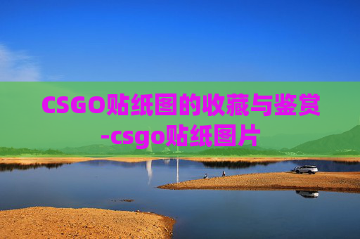 CSGO贴纸图的收藏与鉴赏-csgo贴纸图片