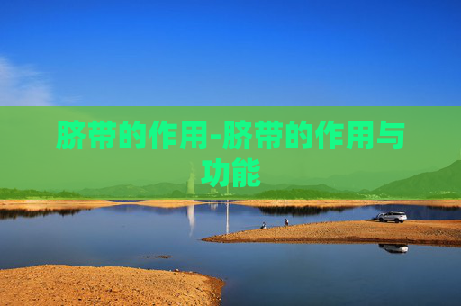 脐带的作用-脐带的作用与功能