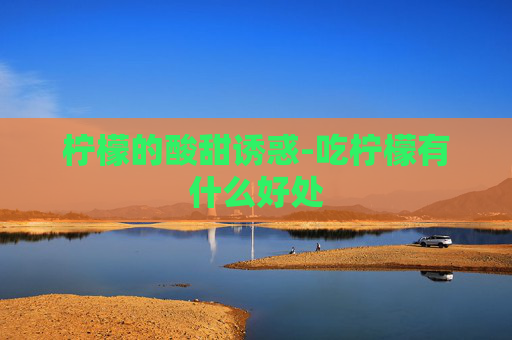柠檬的酸甜诱惑-吃柠檬有什么好处
