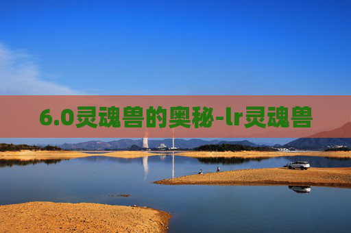 6.0灵魂兽的奥秘-lr灵魂兽
