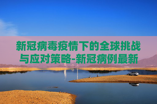 新冠病毒疫情下的全球挑战与应对策略-新冠病例最新