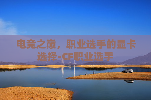 电竞之巅，职业选手的显卡选择-CF职业选手