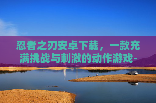 忍者之刃安卓下载，一款充满挑战与刺激的动作游戏-忍者之刃安卓下载教程
