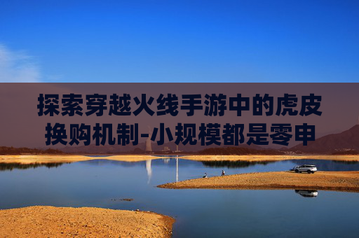 探索穿越火线手游中的虎皮换购机制-小规模都是零申报吗