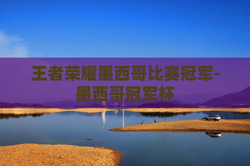 王者荣耀墨西哥比赛冠军-墨西哥冠军杯