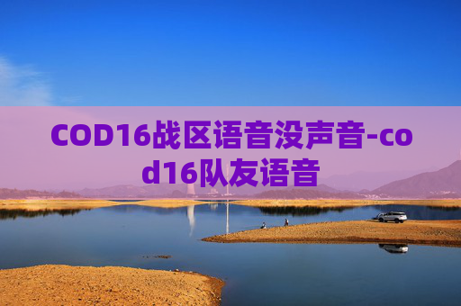 COD16战区语音没声音-cod16队友语音