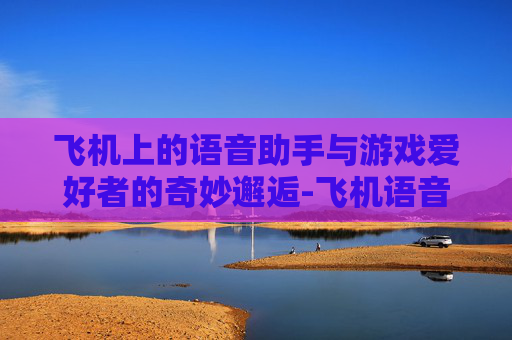飞机上的语音助手与游戏爱好者的奇妙邂逅-飞机语音播报台词