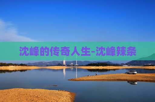 沈峰的传奇人生-沈峰辣条