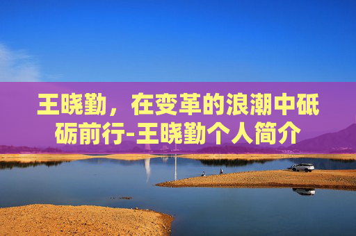 王晓勤，在变革的浪潮中砥砺前行-王晓勤个人简介