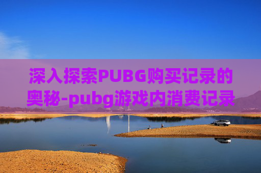深入探索PUBG购买记录的奥秘-pubg游戏内消费记录查询