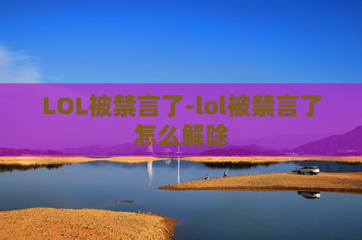 LOL被禁言了-lol被禁言了怎么解除
