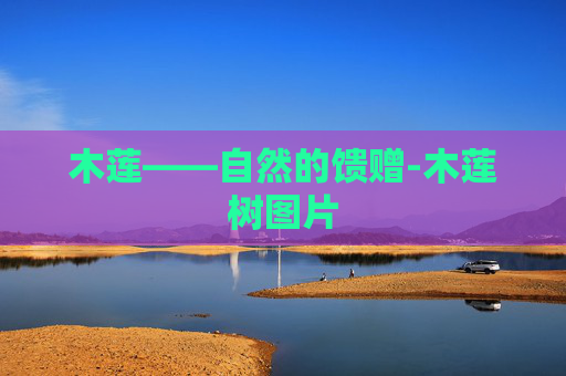 木莲——自然的馈赠-木莲树图片