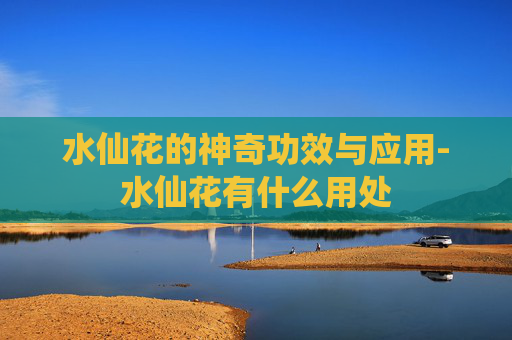 水仙花的神奇功效与应用-水仙花有什么用处
