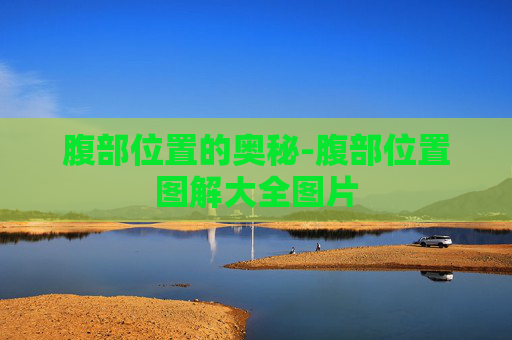 腹部位置的奥秘-腹部位置图解大全图片