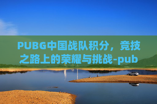 PUBG中国战队积分，竞技之路上的荣耀与挑战-pubg战队等级分别