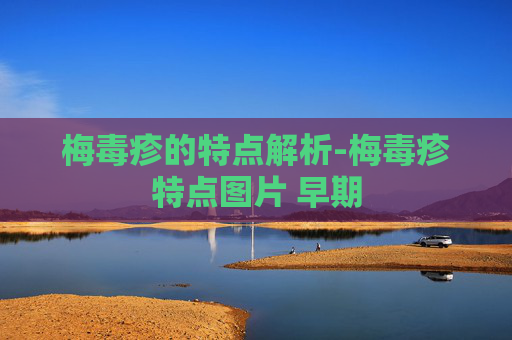 梅毒疹的特点解析-梅毒疹特点图片 早期