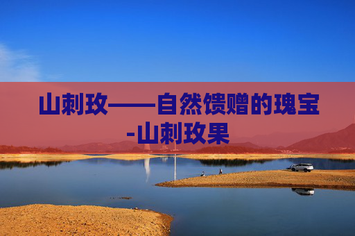 山刺玫——自然馈赠的瑰宝-山刺玫果