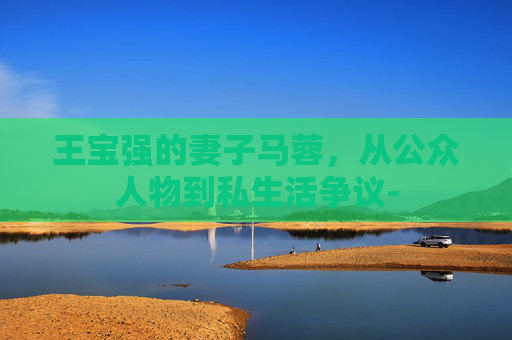 王宝强的妻子马蓉，从公众人物到私生活争议-