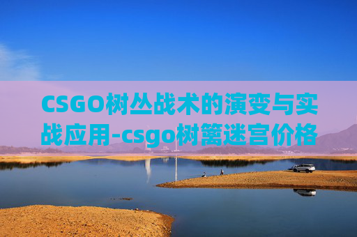 CSGO树丛战术的演变与实战应用-csgo树篱迷宫价格