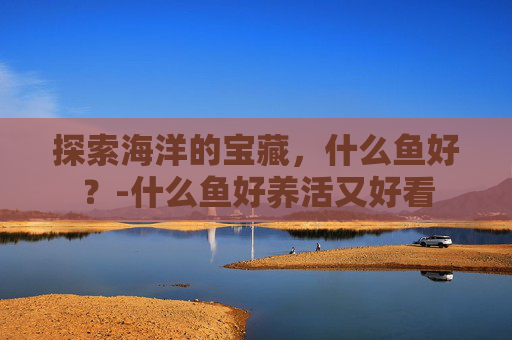 探索海洋的宝藏，什么鱼好？-什么鱼好养活又好看
