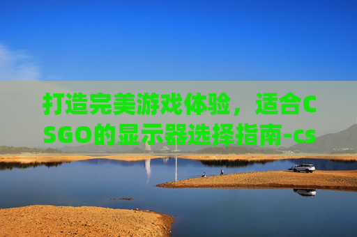 打造完美游戏体验，适合CSGO的显示器选择指南-csgo显示器推荐24够吗