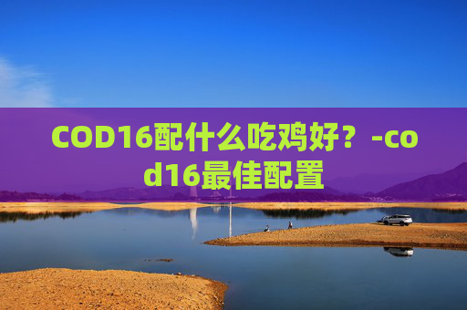 COD16配什么吃鸡好？-cod16最佳配置