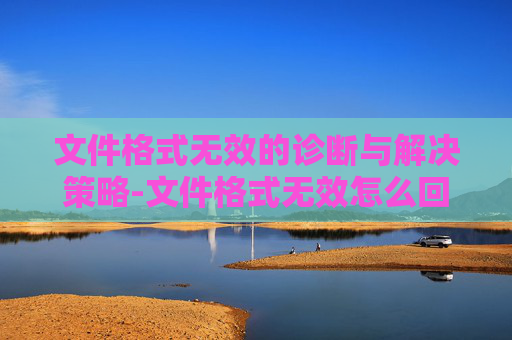 文件格式无效的诊断与解决策略-文件格式无效怎么回事