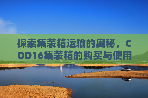 探索集装箱运输的奥秘，COD16集装箱的购买与使用指南-使命召唤16装卸货场怎么进