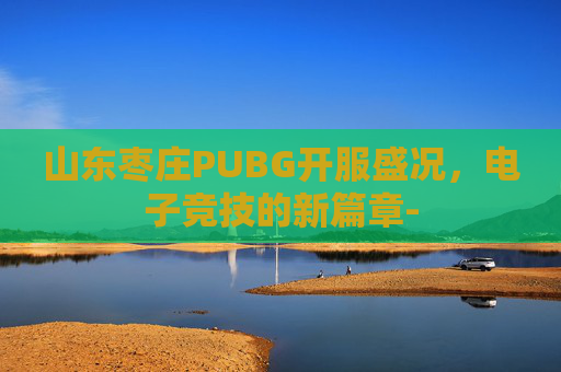 山东枣庄PUBG开服盛况，电子竞技的新篇章-