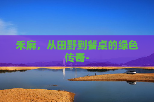 禾麻，从田野到餐桌的绿色传奇-