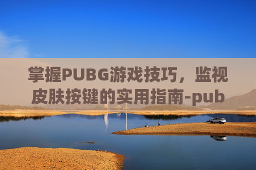 掌握PUBG游戏技巧，监视皮肤按键的实用指南-pubg如何检视皮肤