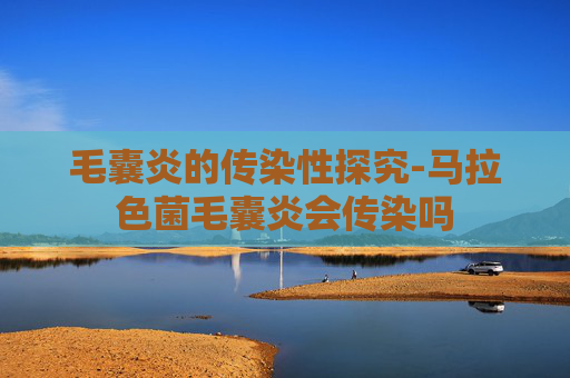 毛囊炎的传染性探究-马拉色菌毛囊炎会传染吗