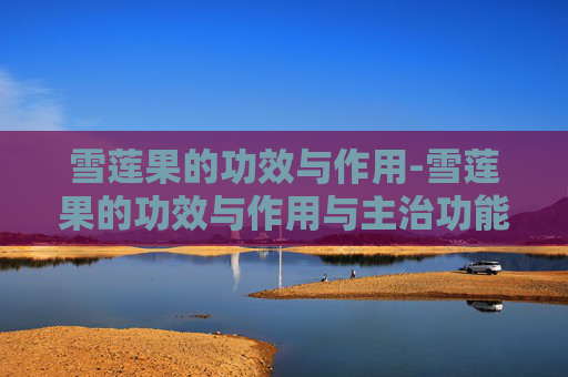 雪莲果的功效与作用-雪莲果的功效与作用与主治功能