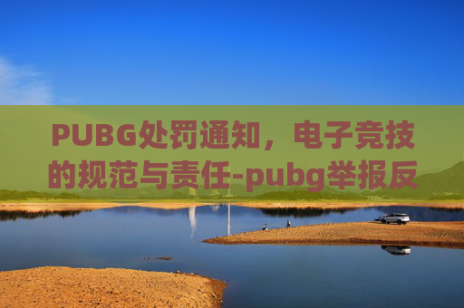 PUBG处罚通知，电子竞技的规范与责任-pubg举报反馈要多久