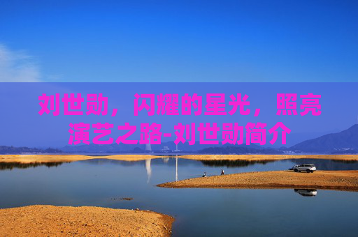 刘世勋，闪耀的星光，照亮演艺之路-刘世勋简介