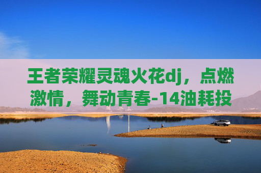 王者荣耀灵魂火花dj，点燃激情，舞动青春-14油耗投多少钱一公里