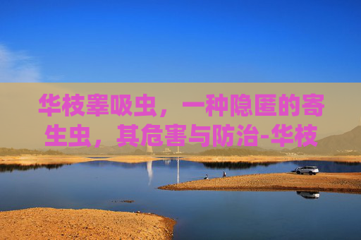 华枝睾吸虫，一种隐匿的寄生虫，其危害与防治-华枝睾吸虫拼音