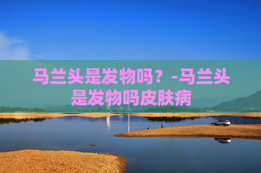 马兰头是发物吗？-马兰头是发物吗皮肤病