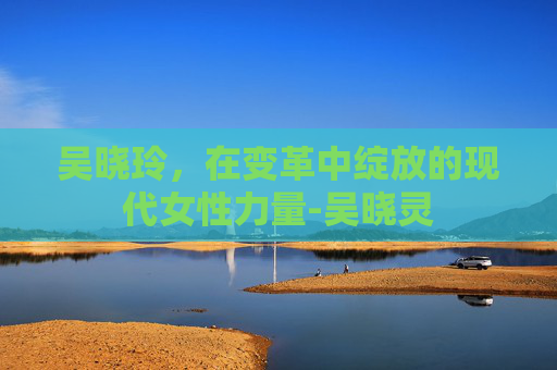 吴晓玲，在变革中绽放的现代女性力量-吴晓灵