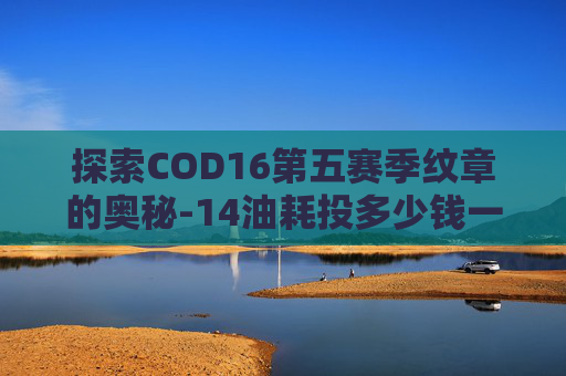 探索COD16第五赛季纹章的奥秘-14油耗投多少钱一公里